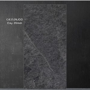 Gạch 30x60 Taicera Vân Xám G63529JDD