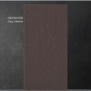 Gạch 30x60 Taicera Vân Xám G63541DD