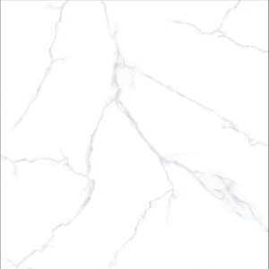 Gạch Taicera GP98085