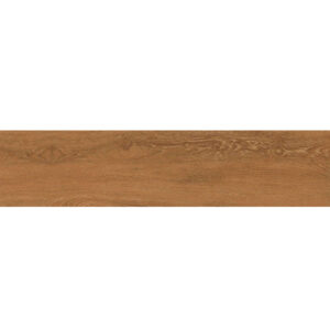 Gạch Viglacera SH-GK21005