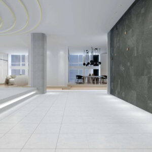 Gạch Viglacera SH-GM6609