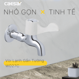 Vòi Lạnh Gắn Tường - W027C