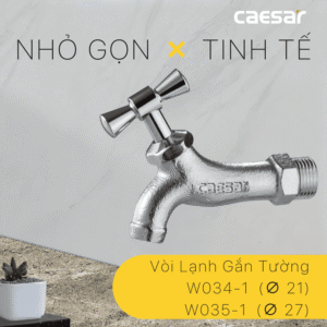 Vòi Lạnh Gắn Tường Xi - W035-1