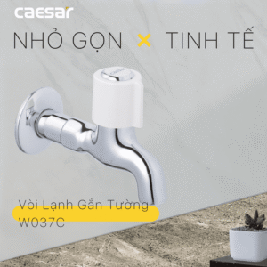 Vòi Lạnh Gắn Tường - W037C