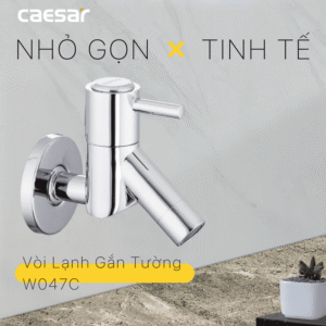 Vòi Lạnh Gắn Tường - W047C