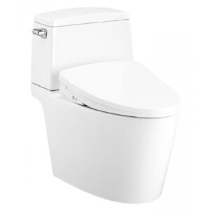 Bồn Cầu Hai Khối COTTO C13547(CV10) Nắp Rửa Điện Tử