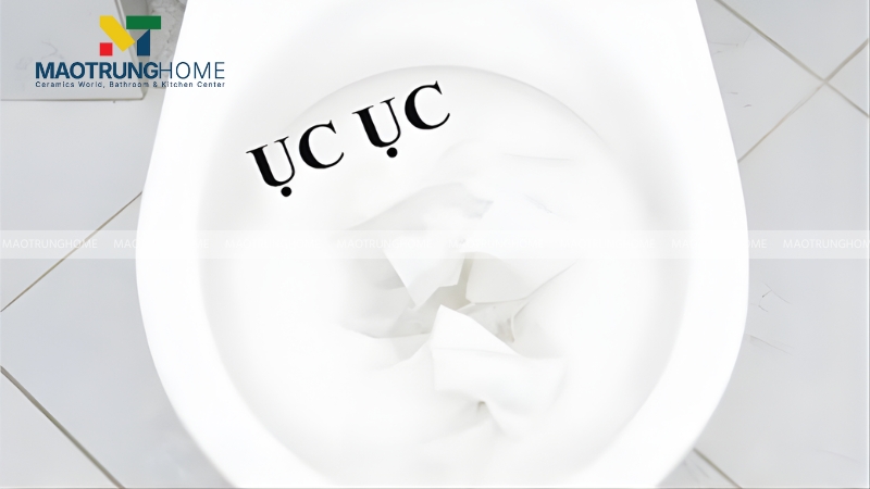 Có rất nhiều nguyên nhân dẫn đến bồn cầu kêu ục ục