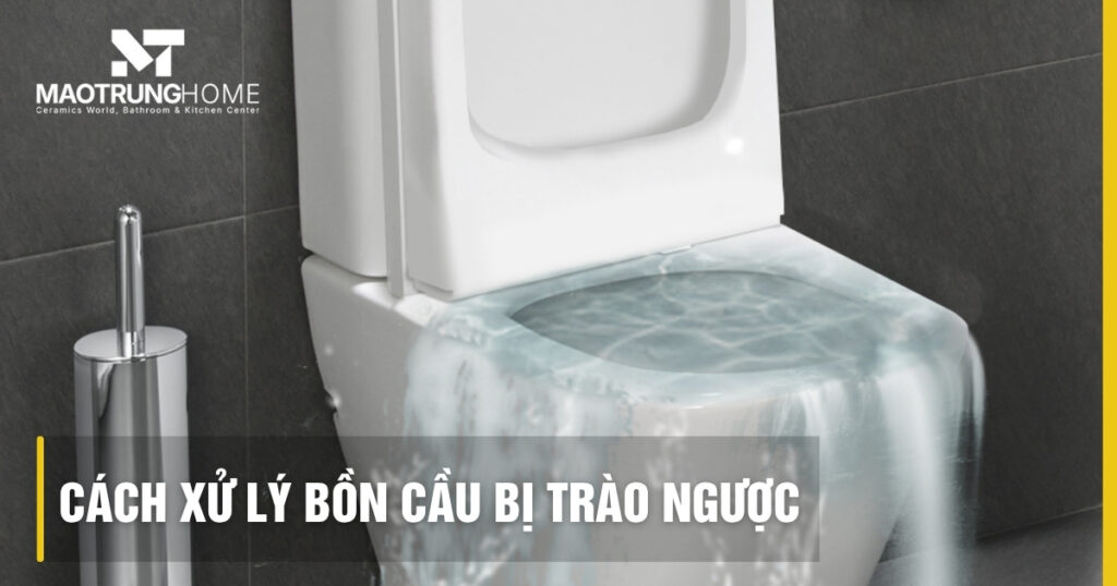 Bồn cầu bị trào ngược: Nhận biết, nguyên nhân và cách xử lý triệt để