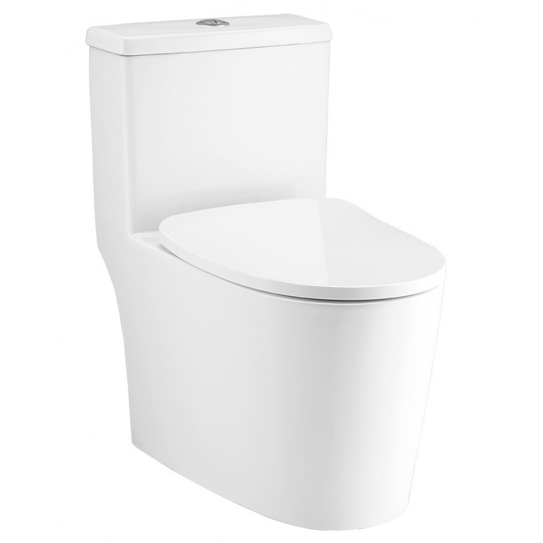 Bồn Cầu Cotto C11003HNOS Một Khối Xả Nhấn Wynn - Ảnh 2