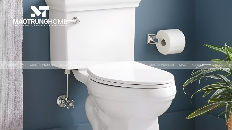 Bồn cầu 2 khối (bồn cầu rời)