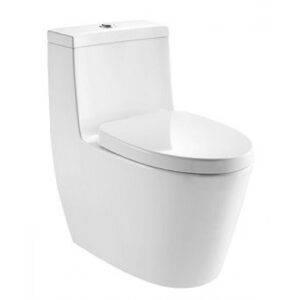 Bồn Cầu Moen SW3182C1/SW9181 1 Khối CYNTHIA