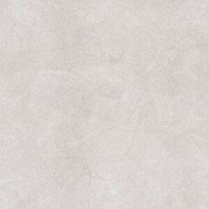 CA1-GM6601