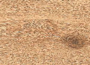 CA10-GK15902
