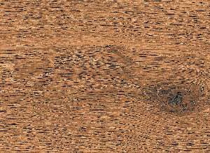 CA10-GK15903