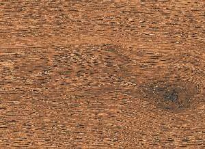 CA10-GK15904