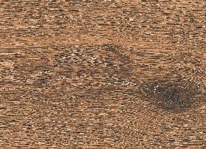 CA10-GK15905