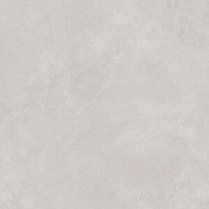 CA2-GM6601