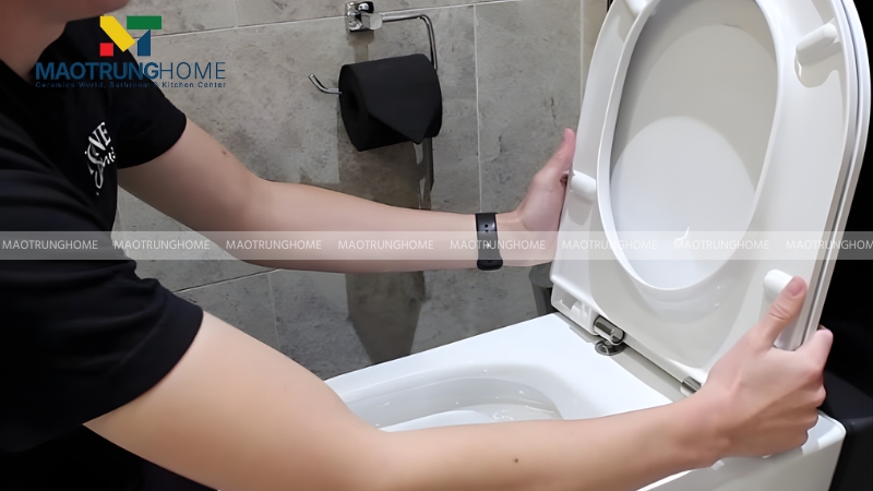 Cuối cùng, bạn lắp nắp bồn cầu Viglacera mới