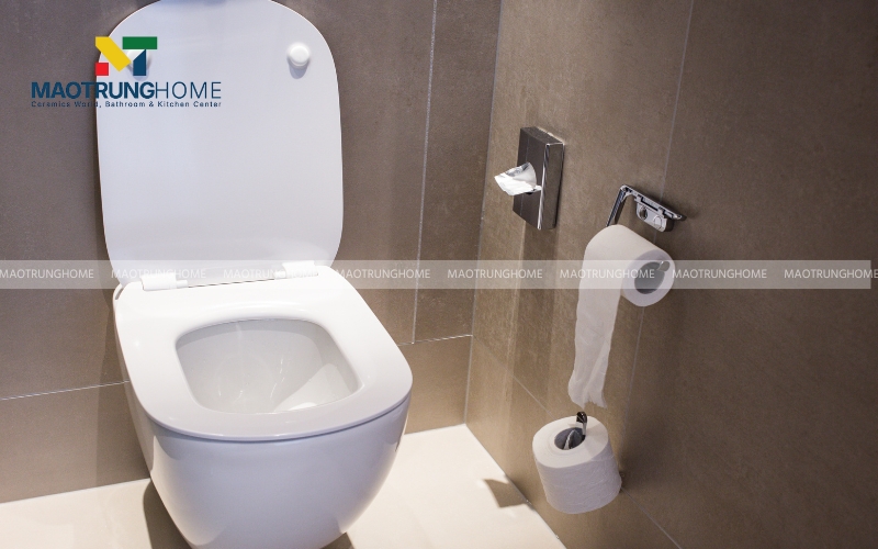 Bồn cầu phân khúc phổ thông