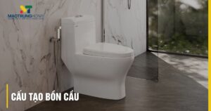 Cấu tạo bồn cầu: Giải mã mọi bộ phận, nguyên lý và lưu ý chọn