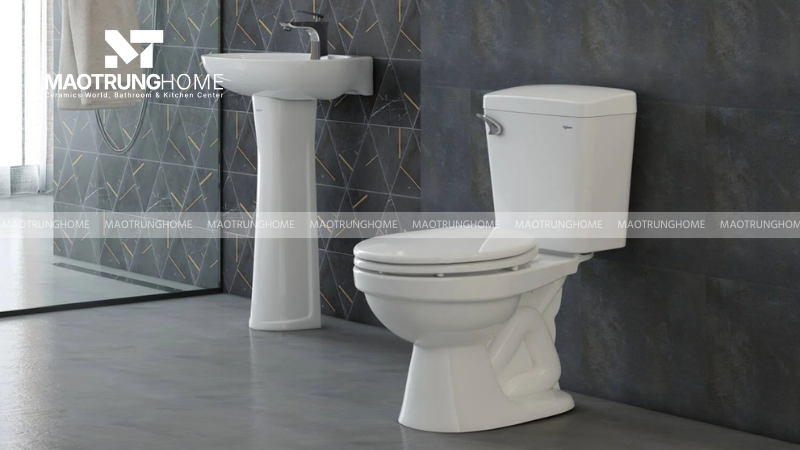 Thân bồn cầu Viglacera được làm từ vật liệu sứ vệ sinh cao cấp