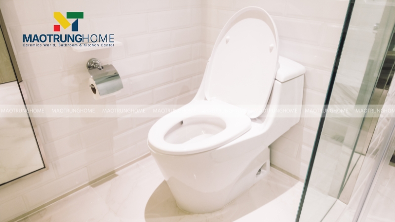 Mua linh kiện thay thế bồn cầu Viglacera chính hãng tại Mao Trung Home