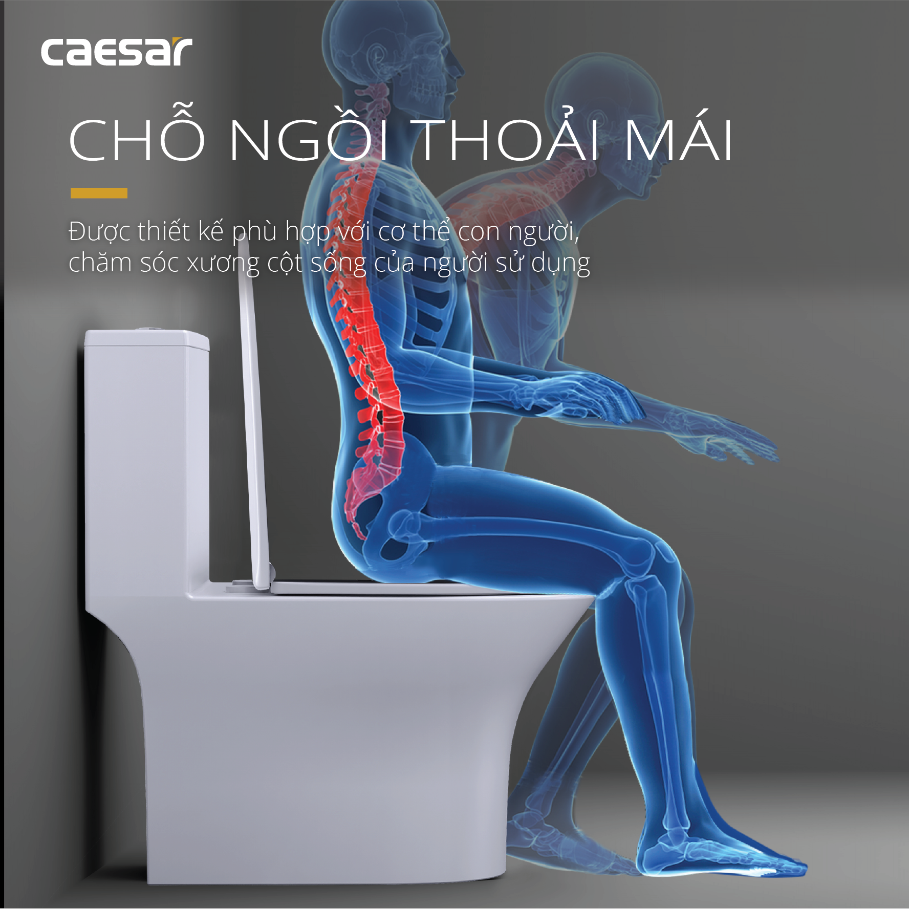 Bồn Cầu Một Khối Nắp Êm - CD1391 - Ảnh 8