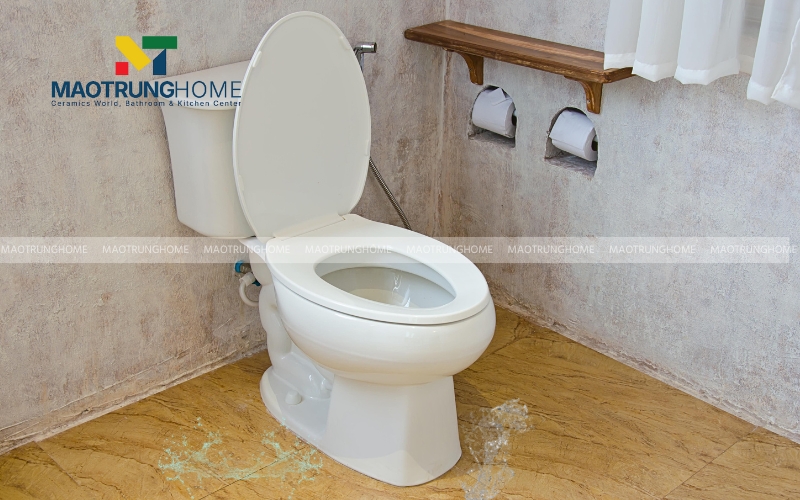 Sàn nhà vệ sinh quanh chân bồn cầu luôn ẩm ướt hoặc có vũng nước nhỏ