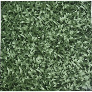 Gạch sân vườn 1595