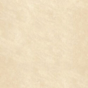 Gạch Taicera G38912ND