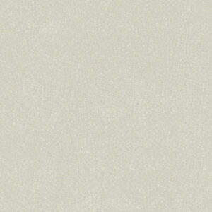 Gạch taicera G68031