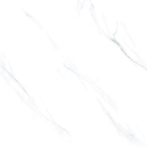 Gạch taicera GP88865