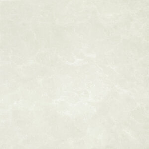 Gạch taicera P87663N