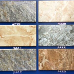 Gạch Thẻ 10x20 Trung Quốc 4219-4220-4221-4222-4223