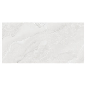 Gạch Viglacera SH-GP4801