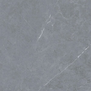 Gạch Taicera GP68259