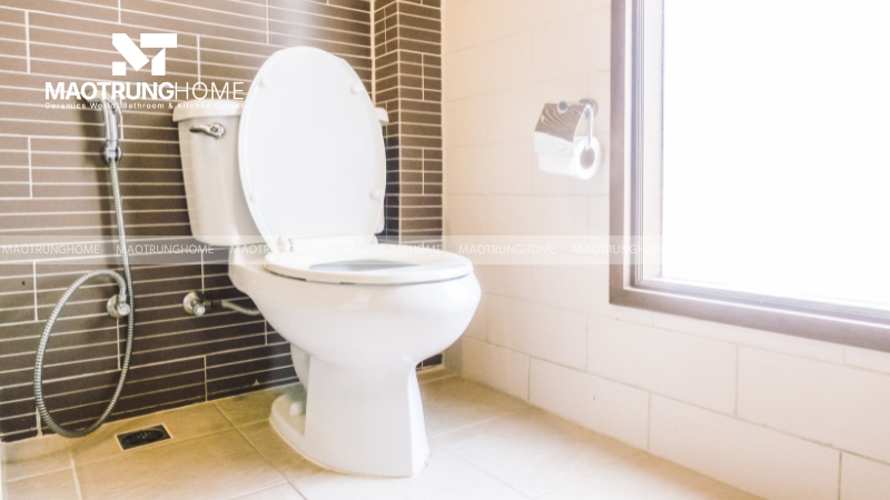 Chọn mua nắp bồn cầu thay thế chính xác