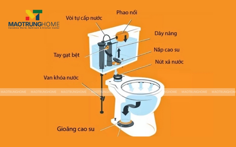 Hệ thống xả nước hoạt động tuần tự qua hai chu trình chính là cấp nước và xả nước