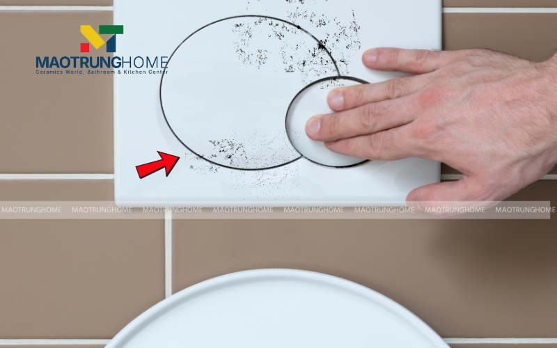 Cặn bẩn và phèn tích tụ lâu ngày