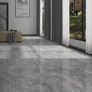 Gạch lát nền Viglacera SH-GP605