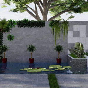 Gạch Viglacera SH20-3605