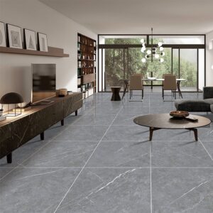 Gạch Taicera GP88238