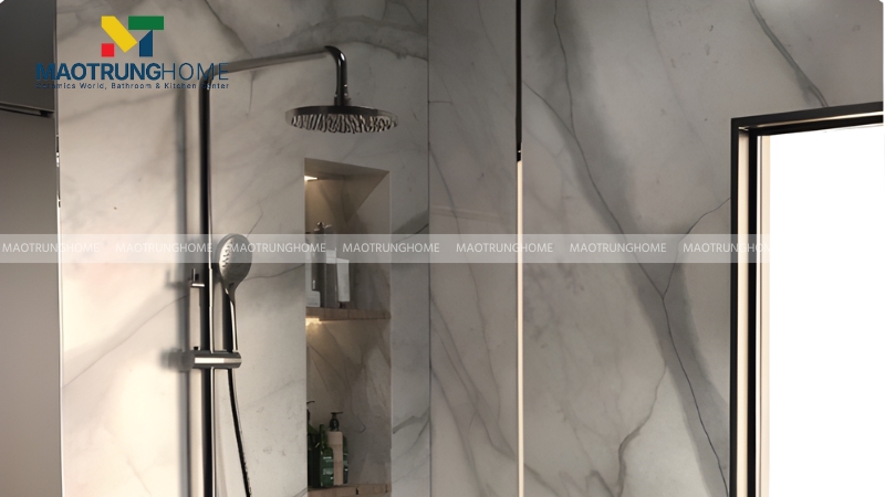 Mẫu BỘ SEN TẮM CÂY KÈM TAY SEN RIGEL R-MXSE8605 cao cấp