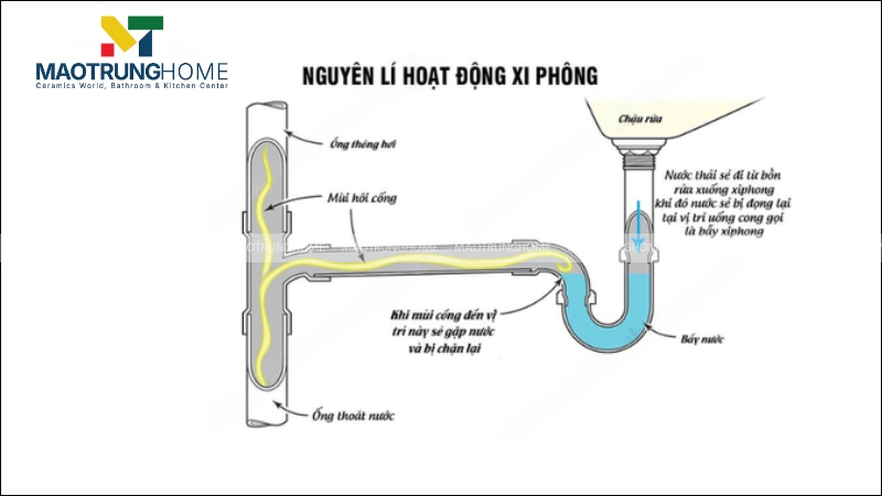 Nguyên lý hoạt động của xi phông