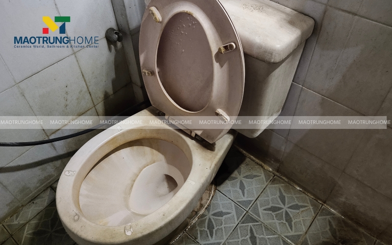 Cặn nước tiểu, vết ố vàng, bụi bẩn tích tụ lâu ngày là nguyên nhân gây hôi bồn cầu