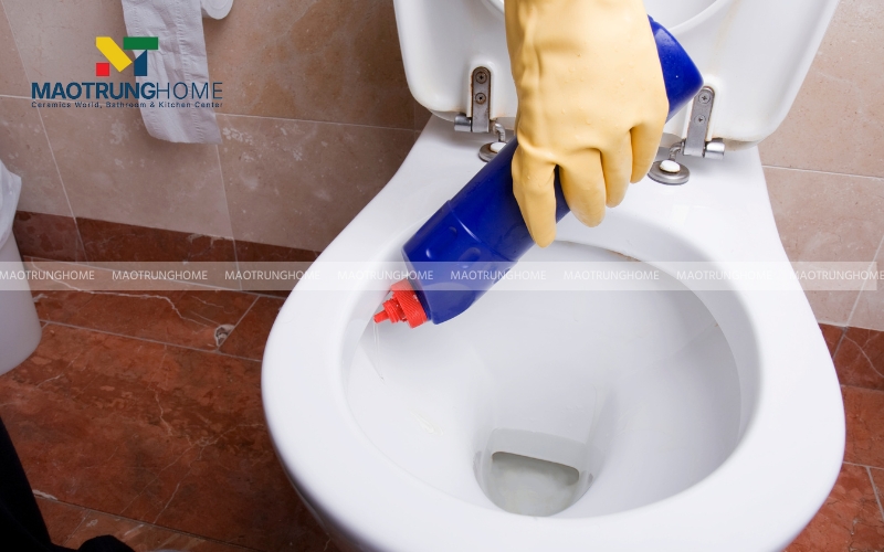Duy trì thói quen vệ sinh và bảo dưỡng bồn cầu