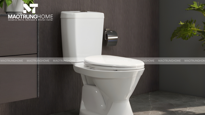 Mẫu Bồn cầu 2 khối Viglacera VI66