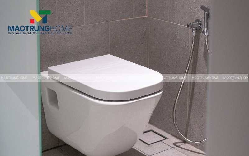 Bồn cầu phân khúc cao cấp