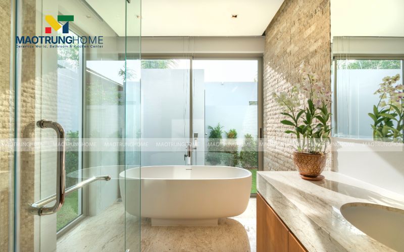 Kích thước và kiểu dáng đa dạng