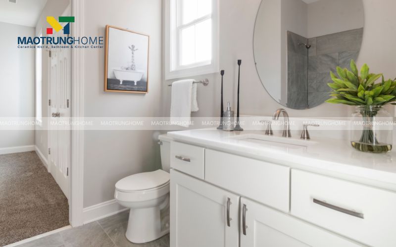 Đặt các loại cây có khả năng hút ẩm, thanh lọc không khí